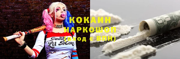 индика Балахна