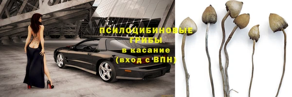 индика Балахна