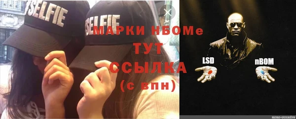 индика Балахна