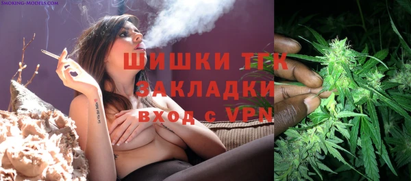 индика Балахна