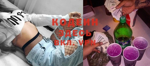 индика Балахна
