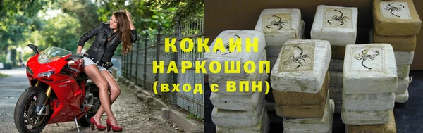 индика Балахна