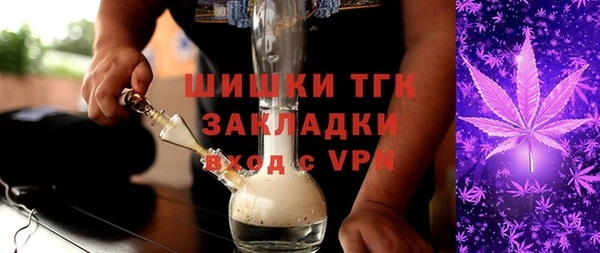прущие грибы Богданович