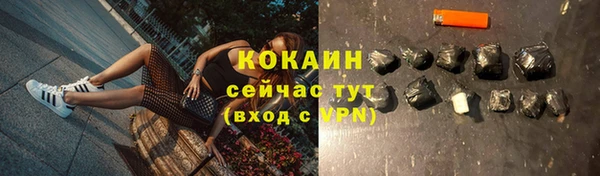 прущие грибы Богданович